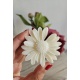 Marguerite fondant parfumé