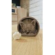 Boîte décorative Bouledogue